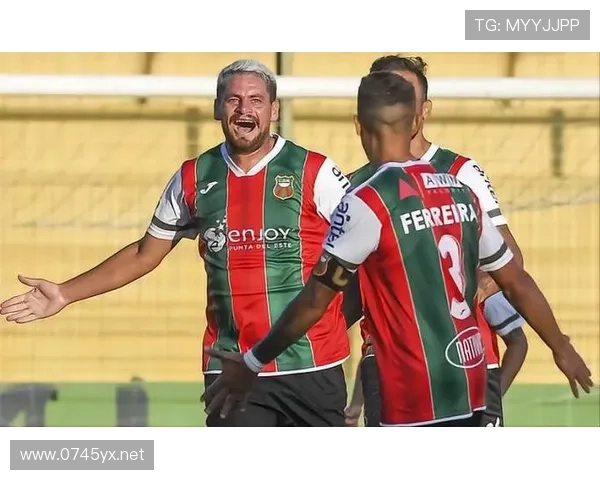 恩佐比赛数据为何不突出：战术角色与体系适配分析