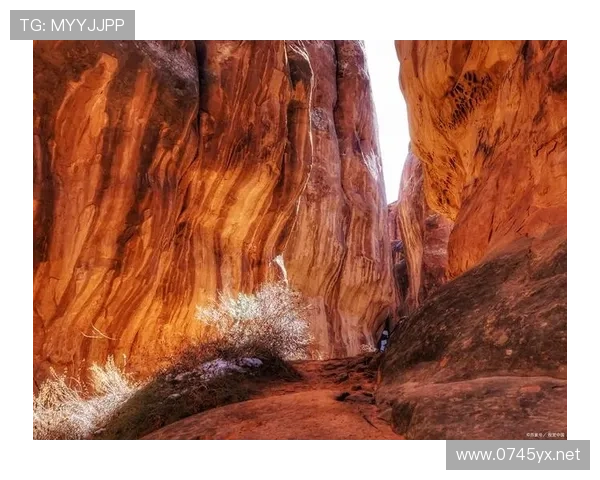 莱奥与罗纳尔迪尼奥:天赋与灵感如何塑造进攻创造力 莱奥与罗纳尔迪尼奥:天赋与灵感如何塑造进攻创造力